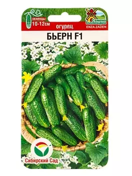 Семена Огурец «Бьерн» F1, гибрид, самоопыляемый, 5 шт.