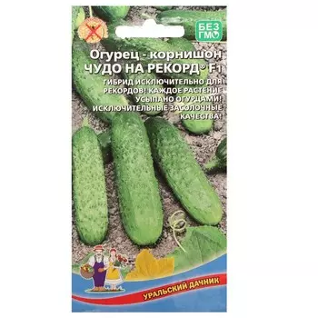 Семена Огурец "Чудо на рекорд", корнишон, F1, 6 шт.