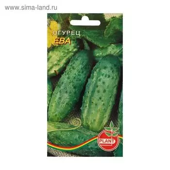Семена огурца "Ева", 10 шт.