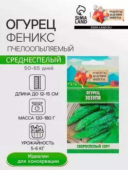 Семена Огурец «Феникс», пчелоопыляемый, среднеспелый, 0.5 г