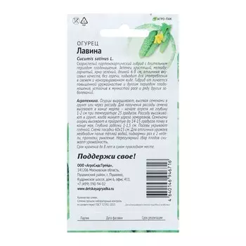 Семена Огурец "Лавина", 8 шт