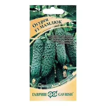 Семена Огурец "Мамлюк", F1, 5 шт