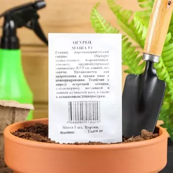 Семена Огурец "Маша", F1, б/п, 5 шт