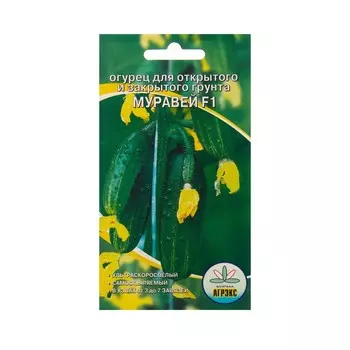 Семена Огурец "Муравей ", 10 шт