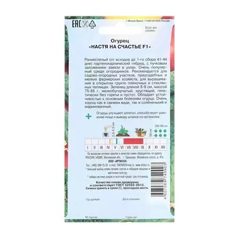 Семена Огурец "Настя на счастье", F1, 10 шт