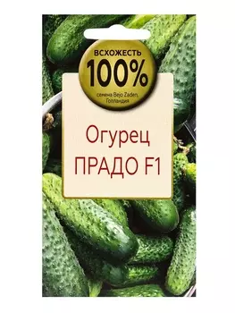 Семена Огурец Прадо F1, «Всхожесть 100%»,партенокарпический гибрид, 10 шт.