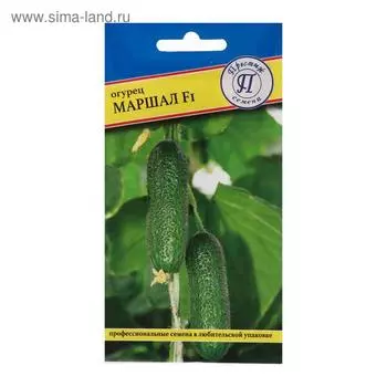 Семена Огурец "Маршал" F1, 5 шт