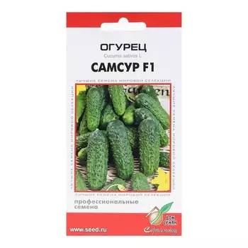 Семена Огурец "Самсур", F1, 6 шт