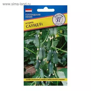 Семена Огурец "Саунд" F1, 5 шт