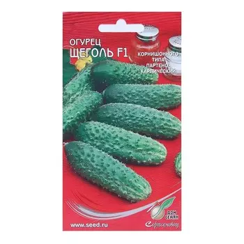 Семена Огурец "Щеголь" F1, 10 шт