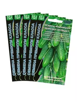 Семена Огурец "Сибирская Гирлянда" F1 скороспелый, партенокарпический, набор 5 шт
