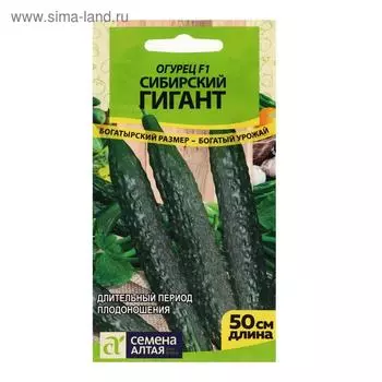 Семена Огурец "Сибирский Гигант", F1, 10 шт