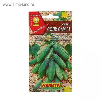 Семена Огурец "Соли сам F1", 10 шт