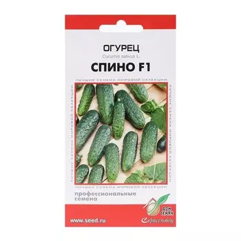 Семена Огурец "Спино", F1, 6 шт