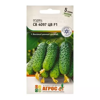 Семена Огурец"СВ 4097 ЦВ"F1 5шт* ЭКОНОМ