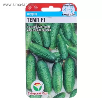 Семена Огурец Темп F1,партенокарпический, 5 шт