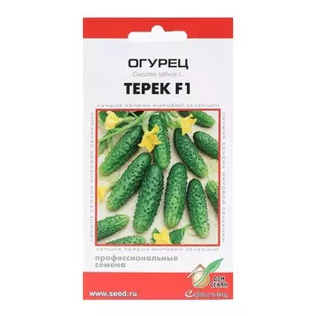 Семена Огурец "Терек", F1, 6 шт