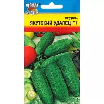 Семена Огурец "Якутский удалец", F1, 0,25 г