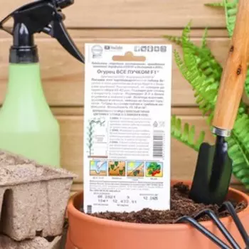 Семена огурца "Все пучком", F1, 10 шт.