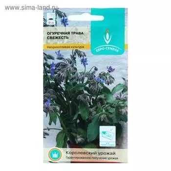 Семена Огуречная трава "Свежесть", цв/п, 0,5 г