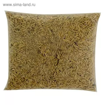 Семена Овес, 800 г