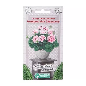 Семена Пеларгония садовая Маверик "Моя Звездочка", 3 шт