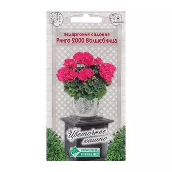 Семена Пеларгония "Волшебница", 3 шт