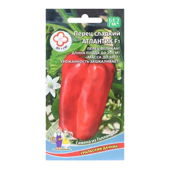 Семена Перец "Атлантик", 12 шт