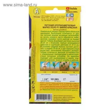 Семена Петуния Марко Поло F1 винно-красная, 7 шт