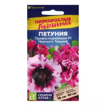 Семена Петуния Превосходнейшая «Черныго Триумф» F1, однолетник, 10 шт.