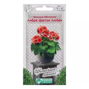 Семена Примула обконика "Либре Цветок Любви", 5 шт