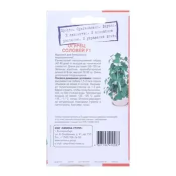 Семена "Растёт дома!" Огурец Соловей, F1 5 шт.