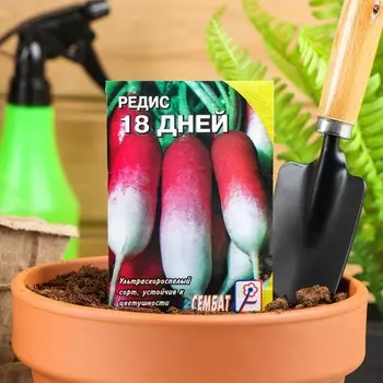 Семена Редис "18 дней", 3 г