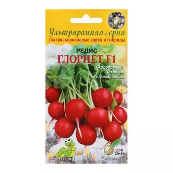 Семена Редис "Глориет F1", 50 шт