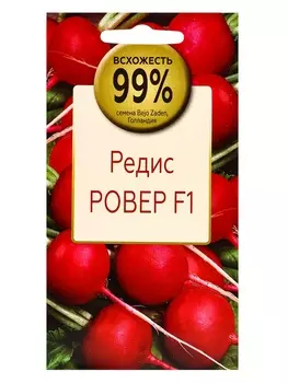 Семена Редис Ровер F1, «Всхожесть 99%»,, 30 шт.