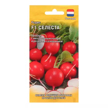 Семена Редис "Селеста", F1, Голландия, ц/п, 0,5 г