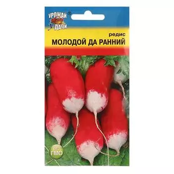 Семена Редис "МОЛОДОЙ-ДА-РАННИЙ", 2 гр