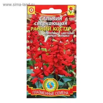 Семена Сальвия "Ранний костер", 0,1 г