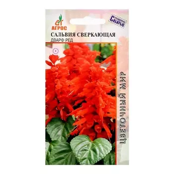 Семена Сальвия Сверкающая Дварф Ред 10шт*