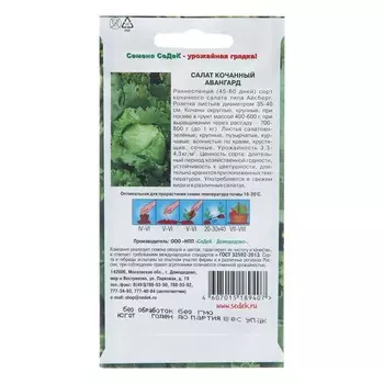 Семена Салат "Авангард", 0,5 г