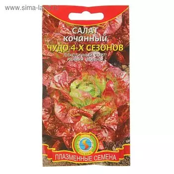 Семена Салат кочанный "Чудо 4-х сезонов", 0,5 г