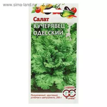Семена Салат Кучерявец "Одесский", хрустящий, 0,5 г