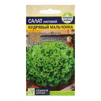 Семена Салат "Кудрявый Мальчонка", ц/п, 0,5 гр.