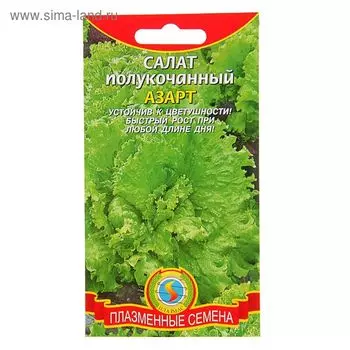 Семена Салат полукочанный "Азарт", 0,5 г