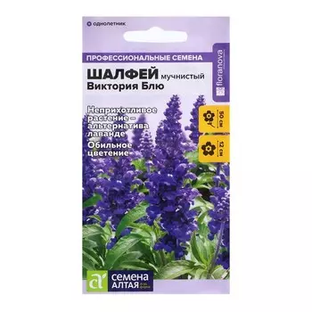 Семена Шалфей "Виктория Блю", ц/п, 10 шт.
