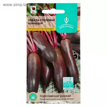 Семена Свекла "Командор", 2 г