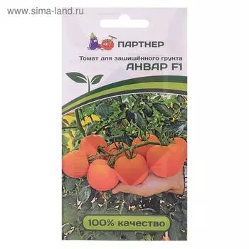 Семена Томат "Анвар", F1, 5 шт