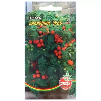 Семена Томат "Балконное чудо", 25 шт