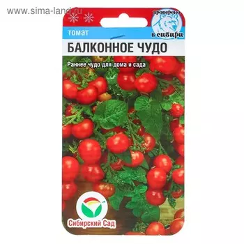 Семена Томат "Балконное чудо", ультраскороспелый,детерминантный,низкорослый 20 шт