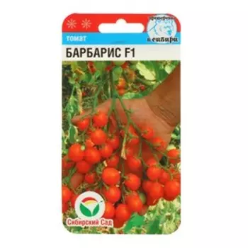 Семена Томат "Барбарис" F1, раннеспелый, 15 шт